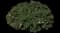 Spreading fleabane — design image 1
