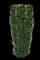 Green Spire Japanese Euonymus — design image 1