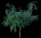Peach Tree — design image 1