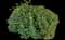 Rue — design image 1