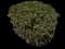 Pointleaf Manzanita — design image 1