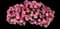 Slingshot™ Heartwheel Petunia — design image 1