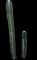 Totem Pole Cactus — design image 11