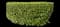 Laurustinus Viburnum — design image 25