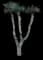 Desert Spoon — design image 18