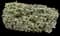 Tea Olive Shrub — design image 6