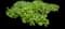 Jack of Diamonds Heartleaf Brunnera — design image 7
