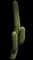 Organ Pipe Cactus — design image 3