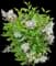 Miss Kim Lilac — design image 1