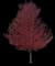 Red Maple Tree — design image 5