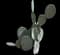 Barbary fig — design image 11