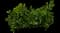 Autograph tree — design image 9