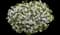 Catalina® Grape-o-Licious™ Wishbone Flower — design image 3