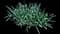 Garden Tulips — design image 10