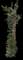 Chinese Banyan — design image 7