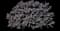 Orpine — design image 2