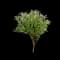 Flutterby Petite® Blue Heaven Butterfly Bush — design image 1