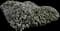 Silverbush — design image 4