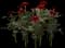 Marigold — design image 4