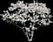 Royal Star Magnolia Tree — design image 1