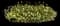Moonbeam Threadleaf Tickseed — design image 3