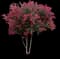 Cherokee Chief Dogwood — design image 1