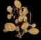 Purple Prickly Pear Cactus — design image 6