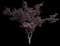 Japanese Maple Tree — design image 7