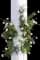 Eden Rose® Climbing Rose — design image 1