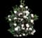 Camellia October Magic® White Shi Shi™ — design image 1