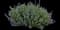Catnip — design image 2