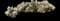 Whipple cholla — design image 2