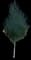 White Birch Tree — design image 1