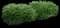 Sprinter® Boxwood — design image 5