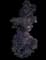 Smoketree — design image 3