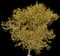 Service Tree — design image 3