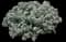 Bloody Crane's-bill — design image 11