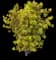 Sky Flower — design image 9