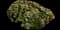 Medusa's head — design image 1