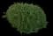Rosemary — design image 10