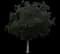 Southern Magnolia — design image 6