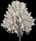 Yoshino Cherry Tree — design image 1