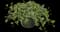 Glacier Ivy — design image 2