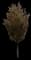 Japanese Zelkova Trees — design image 10