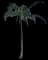 Coconut Palm — design image 24