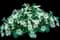 Primrose (Primula) — design image 1