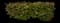 Coco plum — design image 4