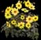 Mystic Illusion Dahlia — design image 1