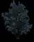 Australian Pine — design image 1