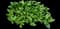 Self-Heal — design image 1